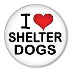 Dogs Animal Rescue Boston Terrier Adopt Shelter Pets  