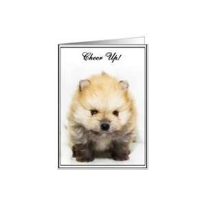 Cheer up Pomeranian puppy Card