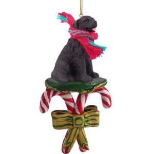   Resin Newfie CANDY CANE Christmas Ornament NEW DCC30