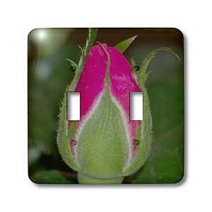 Rebecca Anne Grant Photography Flowers   Pink Rose Bud   Light Switch 