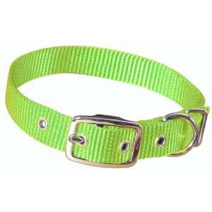 : Hamilton 3/4 Single Thick Nylon Deluxe Dog Collar, 16, Lime Green 