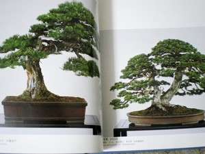 Japanese& English World Bonsai & Suiseki Photo Book 8th  