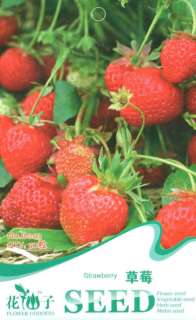 2B003 Fruit Seed Pack   Strawberry / Fragaria ananassax 100 Seeds 