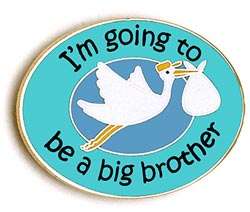 Going To Be A Big Brother Stork Pride Pin Handcraft  