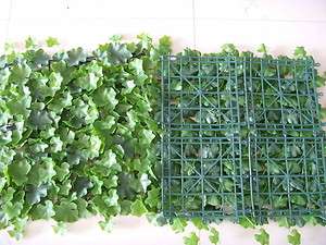   ,Foliage Eng.Ivy,Private screen/ Fence etc.1 box of 43.2sq.ft  