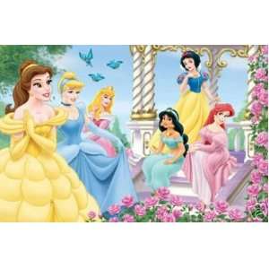  Disney   Princess Garden Poster   Rare New Gathering