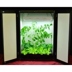 Site Hydroponic Grow Cabinet   All In One, Ready to Plant:  