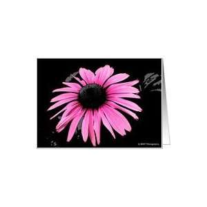  Purple Cone Flower Blank Note Card Card: Health & Personal 
