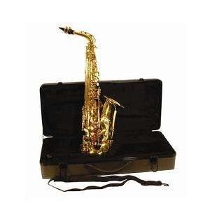  Roy Benson BAS 101 Alto Saxophone Kit: Musical Instruments