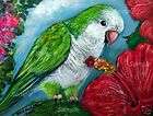   QUAKER PARROT GICLEE of painting Kris Kasheta Green Yellow BIRD ART