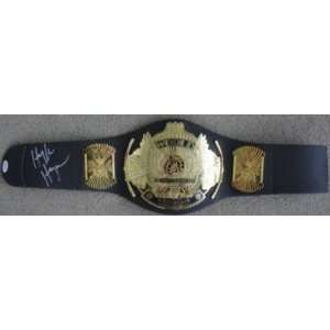  Signed WWE World Heavy Champion Belt PSA/DNA   Autographed Wrestling 